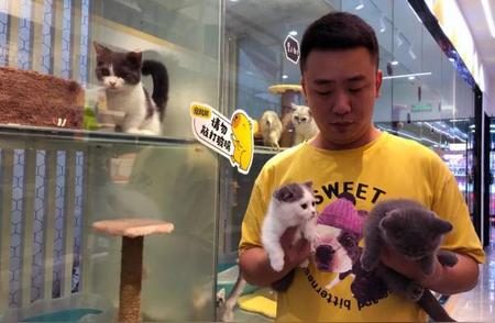 揭秘温州市民为爱宠预定宠物酒店背后的故事