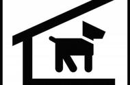 河南发布禁养犬只名录：体高超过55厘米的狗狗不能养