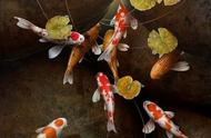 油画《锦鲤》：锦鱼象征幸福，一生追求的艺术呈现