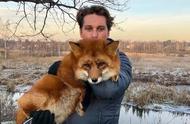 俄罗斯小哥皮草农场救出的小狐狸：黏人又可爱