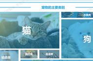 2023中国宠物行业深度洞察报告发布，新趋势引领未来走向