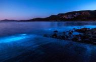 澳洲海岸目睹奇异生物发光 绚丽如霓虹之美