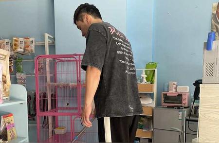 杭州宠物店面临续约难题：三年经营，未来何去何从？